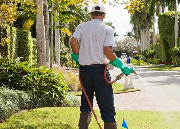 About Trafford PA Pest Control